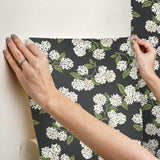 Hydrangea Black & White by Rifle Paper Co. Peel & Stick Wallpaper – York Wallcoverings PSW1618RL