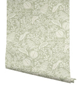 Pomegranate Pistachio by Rifle Paper Co. Peel & Stick Wallpaper- York Wallcoverings PSW1630RL
