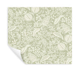 Pomegranate Pistachio by Rifle Paper Co. Peel & Stick Wallpaper- York Wallcoverings PSW1630RL
