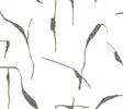 Ivory Coast Black & Gold Premium Peel and Stick Wallpaper by York Wallcoverings - PSW1652RL