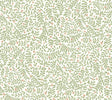 Elodie Cream petite floral peel and stick wallpaper roll by Rifle Paper Co., 27 in x 20 ft