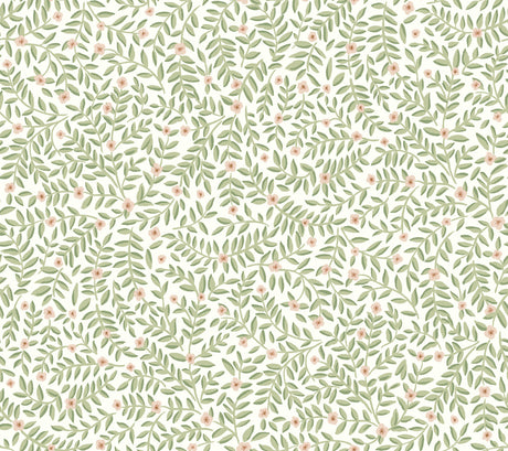 Elodie Cream petite floral peel and stick wallpaper roll by Rifle Paper Co., 27 in x 20 ft