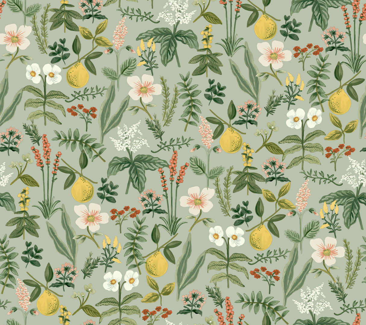 Herb Garden Sage botanical peel and stick wallpaper by Rifle Paper Co., 27 in x 20 ft roll