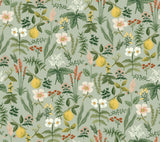 Herb Garden Sage botanical peel and stick wallpaper by Rifle Paper Co., 27 in x 20 ft roll