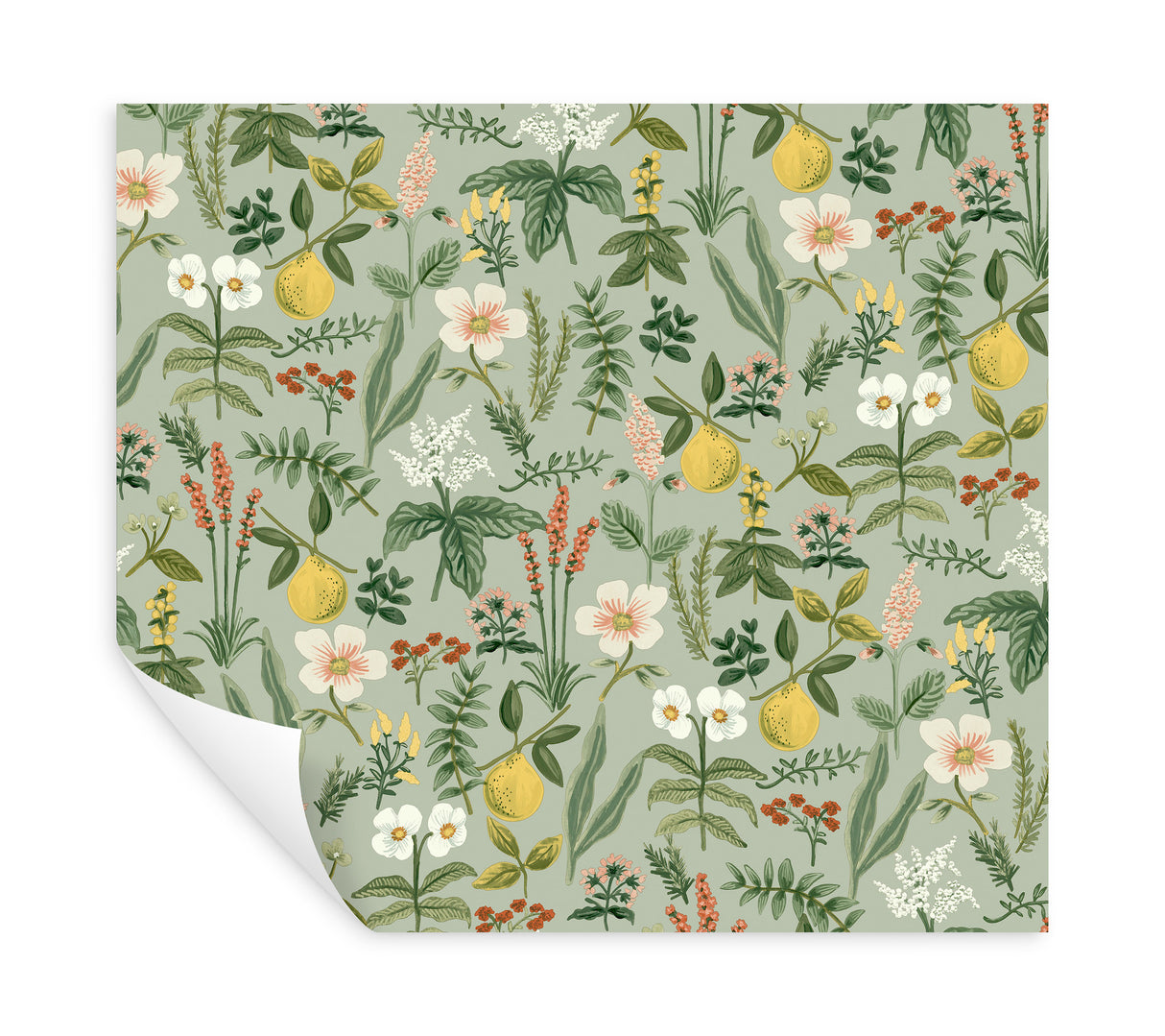 Herb Garden Sage by Rifle Paper Co. Botanical Premium Peel & Stick Wallpaper – York Wallcoverings PSW1675RL