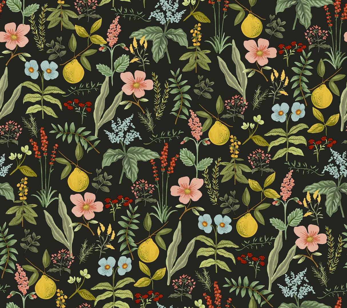 Rifle Paper Co. Herb Garden Black botanical peel and stick wallpaper roll, 27 in x 20 ft