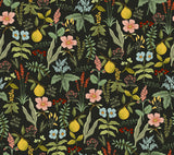 Rifle Paper Co. Herb Garden Black botanical peel and stick wallpaper roll, 27 in x 20 ft