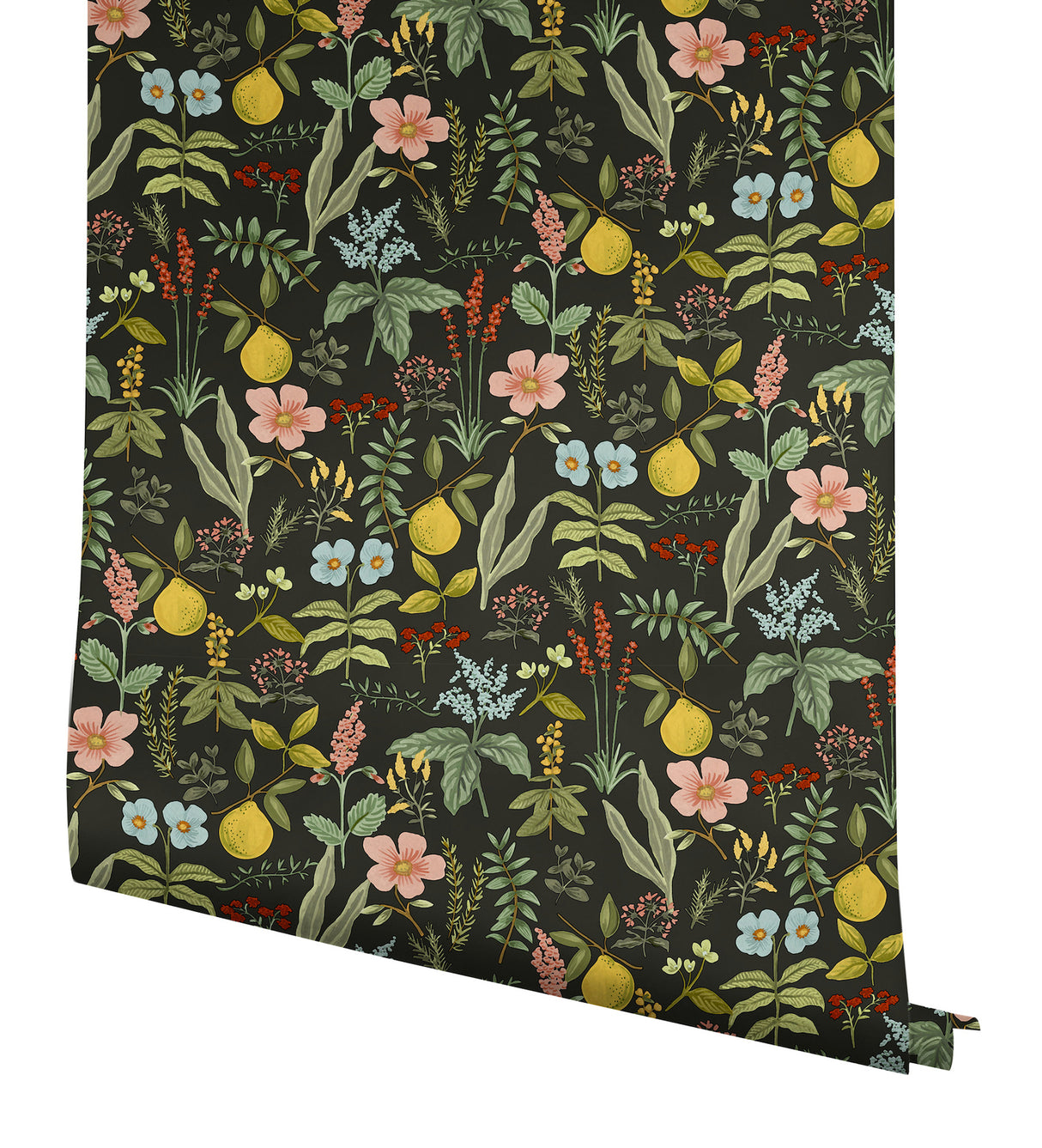 Herb Garden Black by Rifle Paper Co. Botanical Premium Peel & Stick Wallpaper – York Wallcoverings PSW1676RL