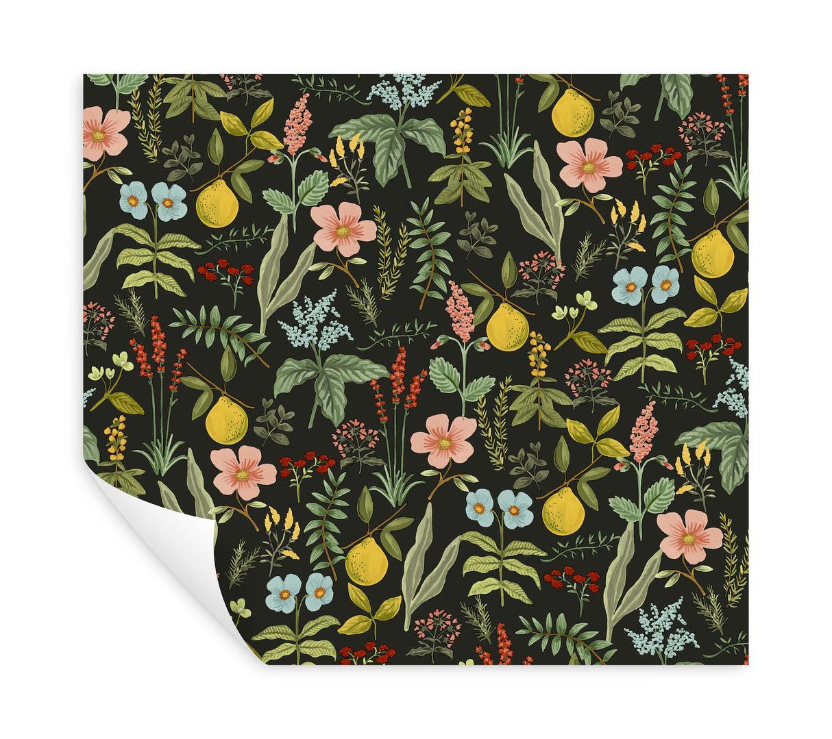 Herb Garden Black by Rifle Paper Co. Botanical Premium Peel & Stick Wallpaper – York Wallcoverings PSW1676RL