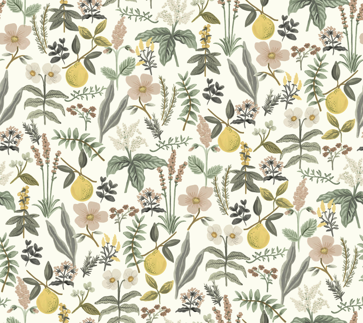 Rifle Paper Co. Herb Garden Cream Botanical Premium Peel & Stick Wallpaper roll and pattern