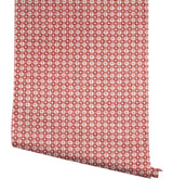 Daisy Gingham Red by Rifle Paper Co. Premium Peel + Stick Wallpaper – York Wallcoverings PSW1691RL