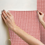 Daisy Gingham Red by Rifle Paper Co. Premium Peel + Stick Wallpaper – York Wallcoverings PSW1691RL