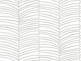 Cascade Palm Grey Chic Tropics Peel and Stick Non Woven Wallpaper by York Wallcoverings - PSW1701RL