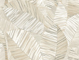 Crown Canopy Neutral Palm Peel and Stick Wallpaper by York Wallcoverings PSW1705RL - Tropical Botanical Non Woven Design