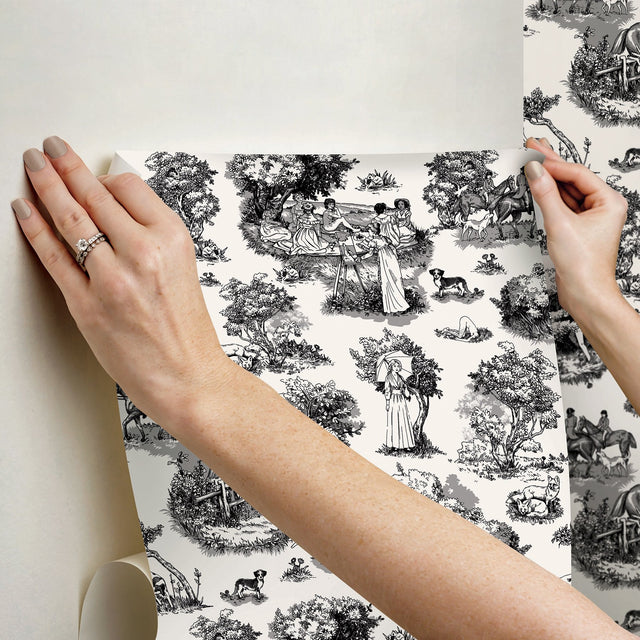 The Chase Black Peel & Stick Toile Wallpaper with Modern Graphic Motif - Brewster RAS6263