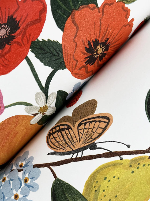 Flower Studies Bright Multi-Color Floral Whimsical Wallpaper - York RF7402