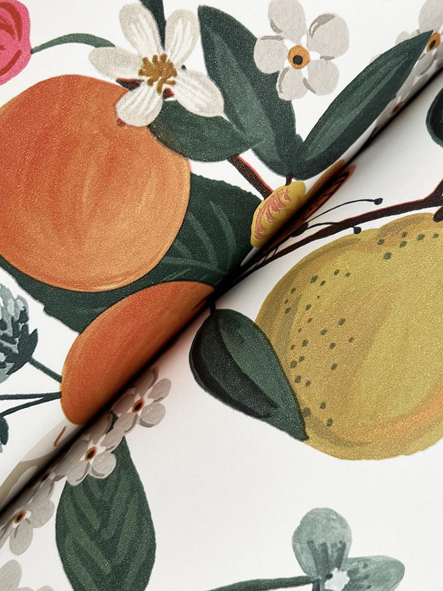 Flower Studies Rose Red Whimsical Floral Wallpaper - York RF7404