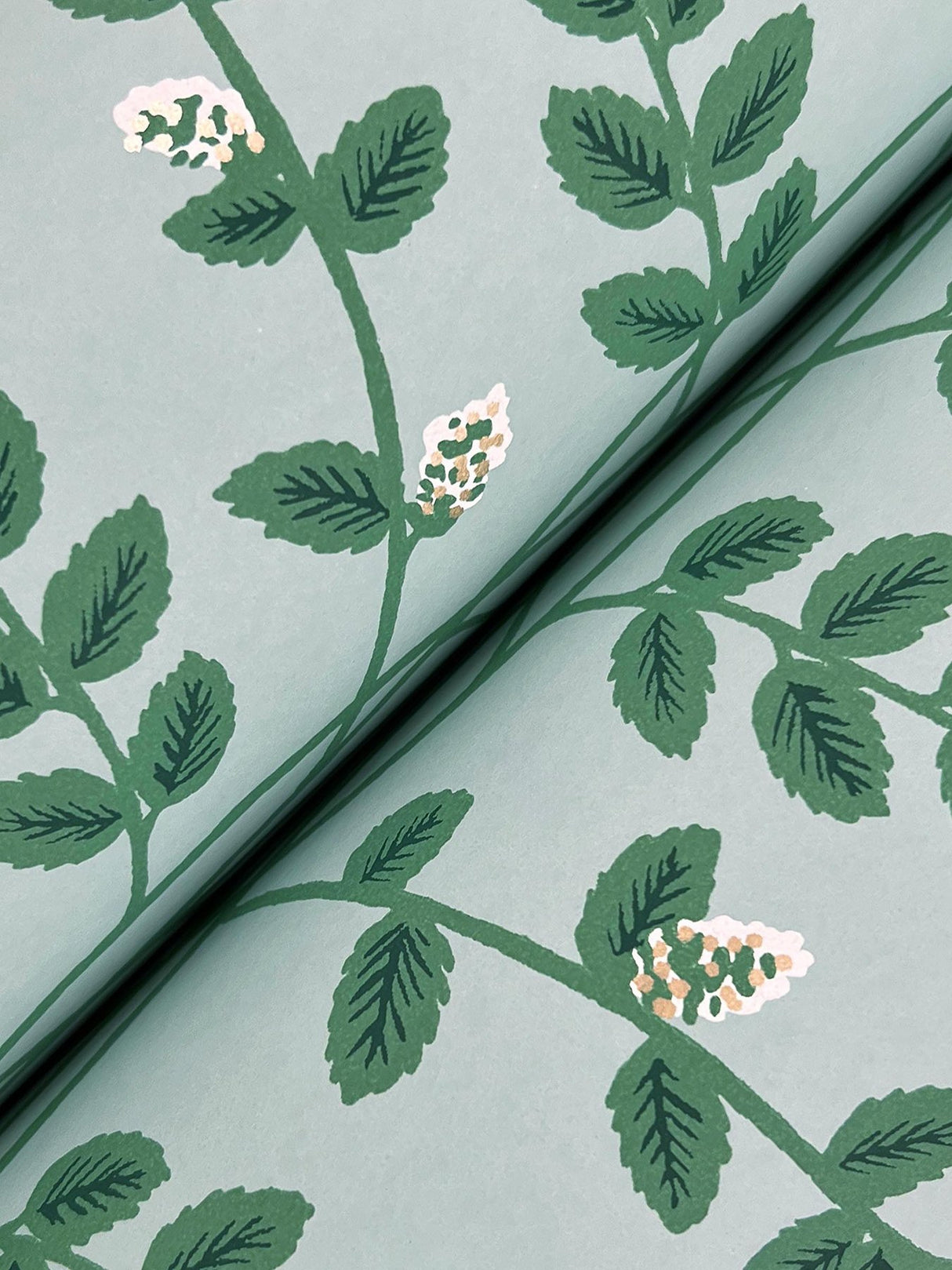 Climbing Vine Soft Teal Wallpaper with Metallic Botanical Stripe - York RF7421