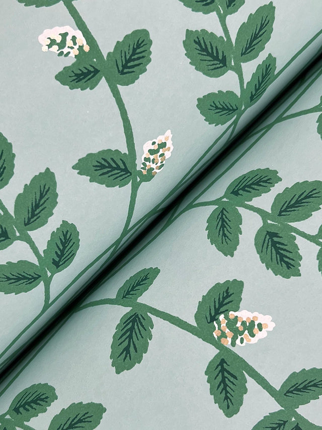 Climbing Vine Soft Teal Wallpaper with Metallic Botanical Stripe - York RF7421