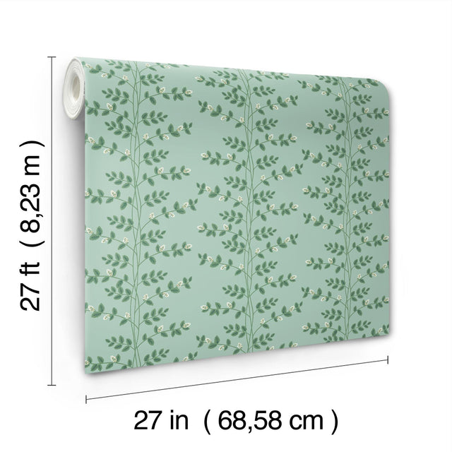 Climbing Vine Soft Teal Wallpaper with Metallic Botanical Stripe - York RF7421