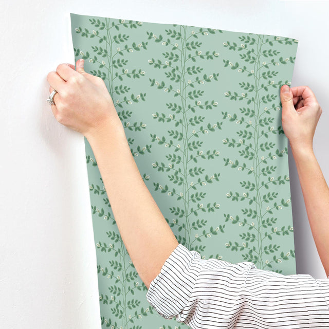 Climbing Vine Soft Teal Wallpaper with Metallic Botanical Stripe - York RF7421