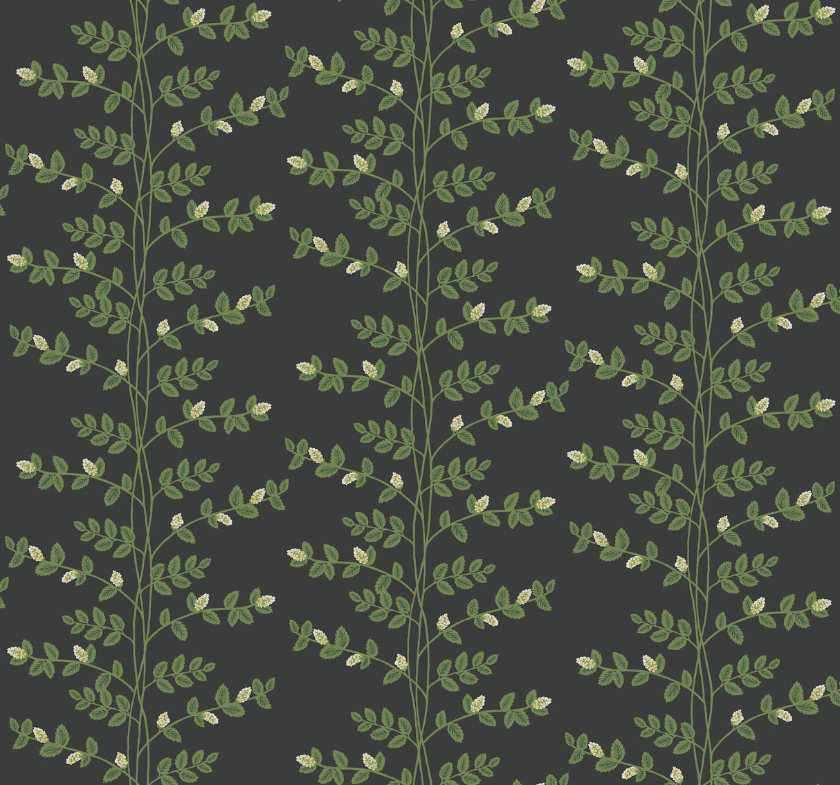Climbing Vine Black Wallpaper with Botanical Vertical Stripe, Metallic Accents - York RF7422