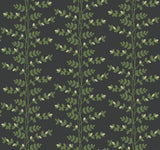 Climbing Vine Black Wallpaper with Botanical Vertical Stripe, Metallic Accents - York RF7422