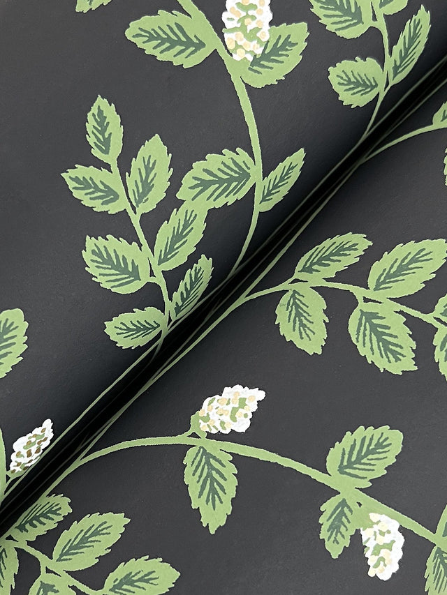 Climbing Vine Black Wallpaper with Botanical Vertical Stripe, Metallic Accents - York RF7422