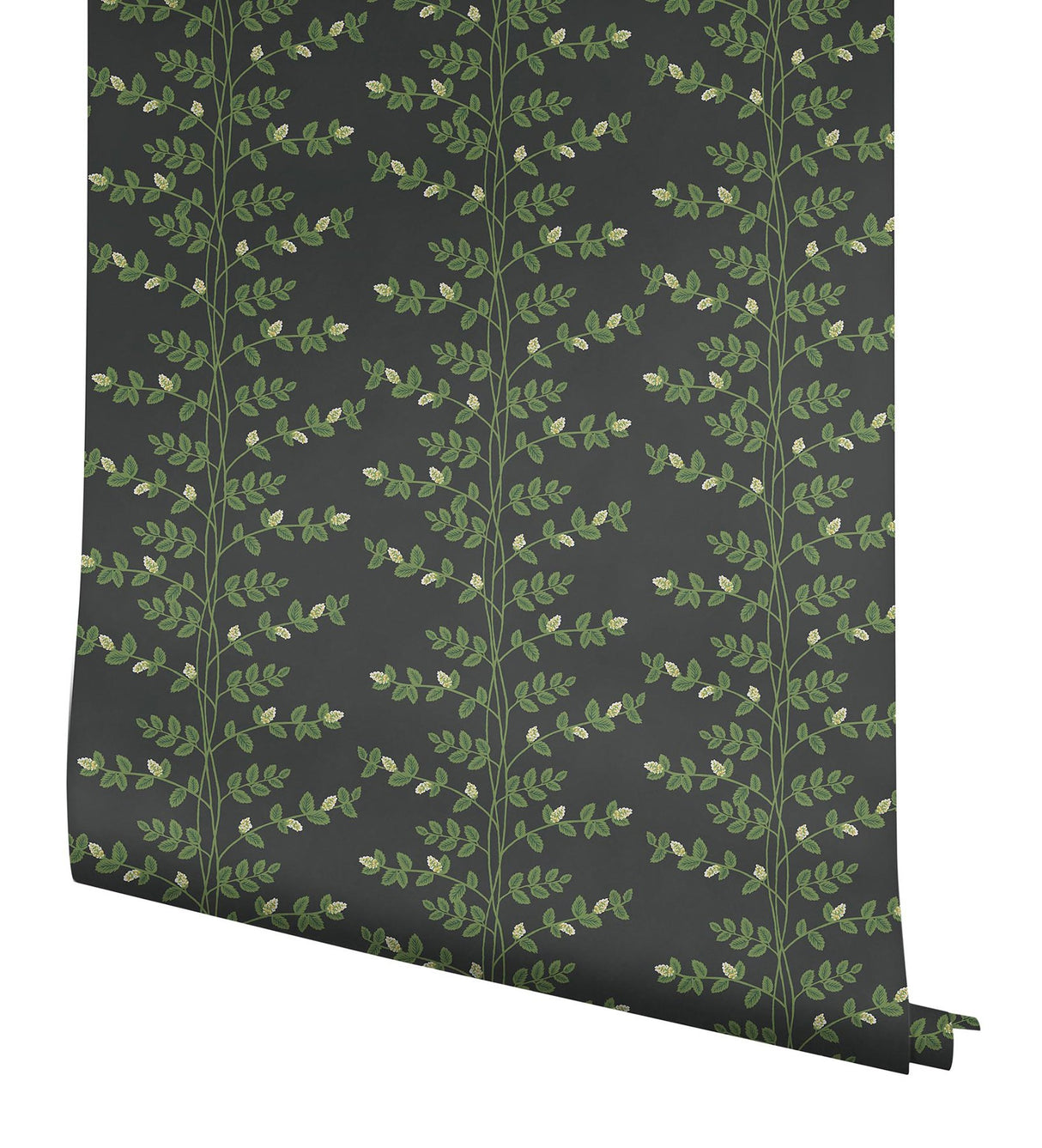 Climbing Vine Black Wallpaper with Botanical Vertical Stripe, Metallic Accents - York RF7422