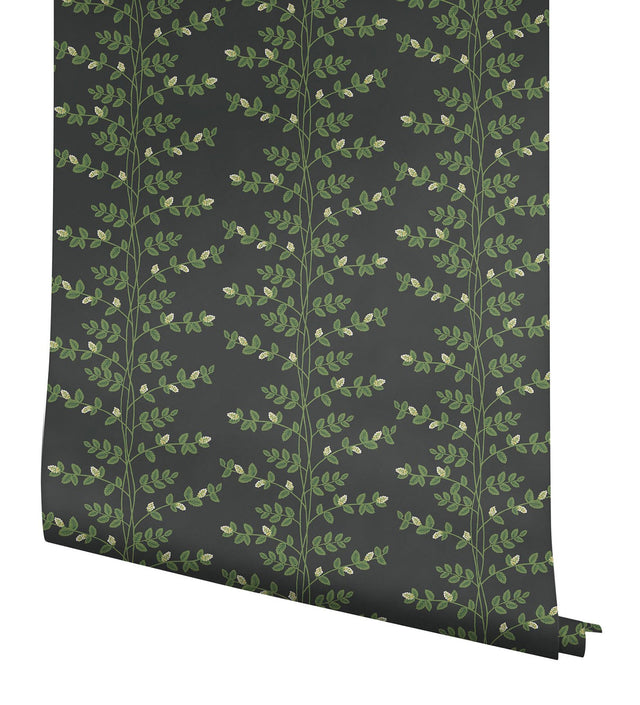 Climbing Vine Black Wallpaper with Botanical Vertical Stripe, Metallic Accents - York RF7422