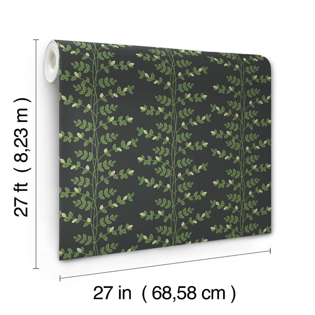 Climbing Vine Black Wallpaper with Botanical Vertical Stripe, Metallic Accents - York RF7422
