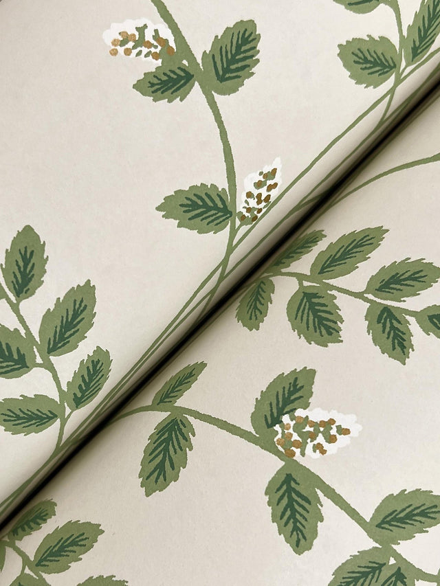 Climbing Vine Linen Green Metallic Wallpaper with Botanical Whimsical Pattern - York RF7423
