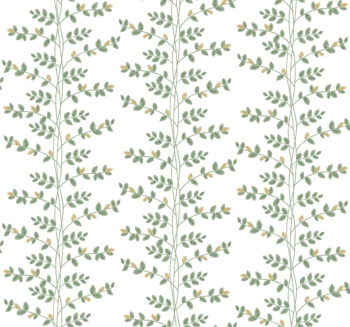 Climbing Vine Gold Wallpaper with Metallic Botanical Vine Stripe - York RF7424