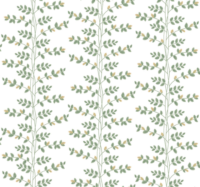 Climbing Vine Gold Wallpaper with Metallic Botanical Vine Stripe - York RF7424