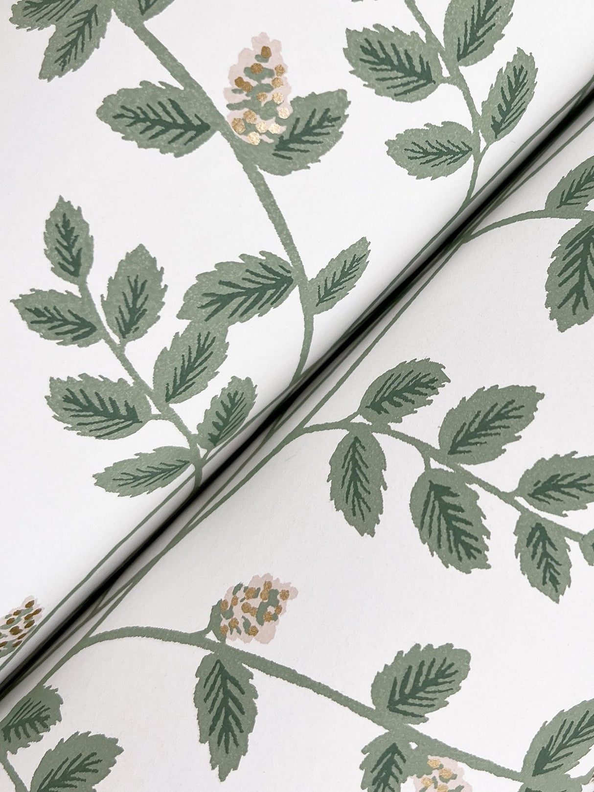 Climbing Vine Gold Wallpaper with Metallic Botanical Vine Stripe - York RF7424