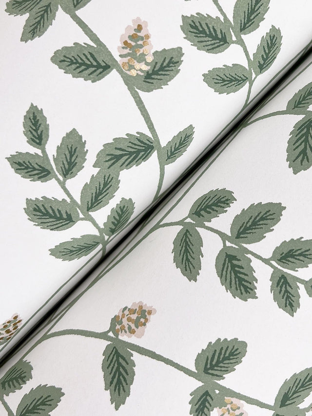 Climbing Vine Gold Wallpaper with Metallic Botanical Vine Stripe - York RF7424