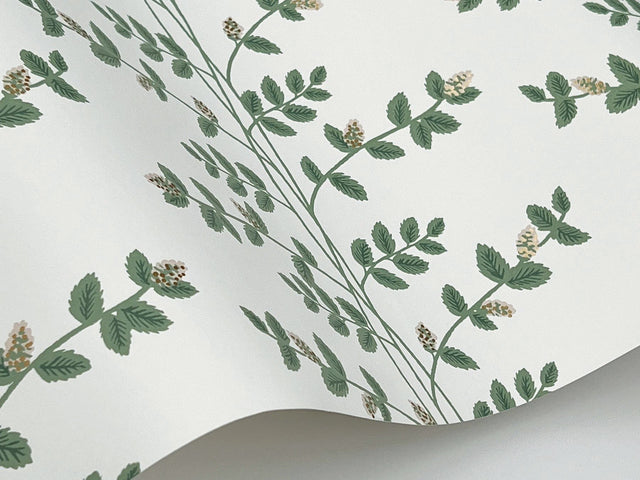 Climbing Vine Gold Wallpaper with Metallic Botanical Vine Stripe - York RF7424