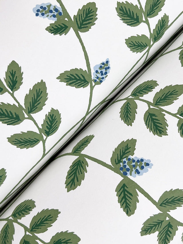 Climbing Vine Blue Wallpaper with Botanical Whimsical Vertical Vines - York RF7425