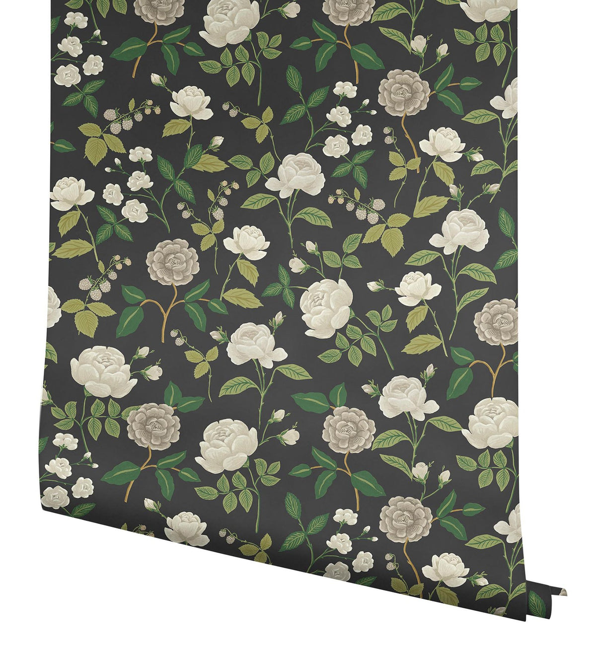 Roses Black Wallpaper with Botanical Whimsical Pattern - York RF7542