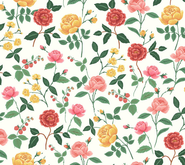 Roses Blush Wallpaper with Botanical Floral Motif, Whimsical Style - York RF7546