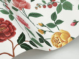 Roses Blush Wallpaper with Botanical Floral Motif, Whimsical Style - York RF7546
