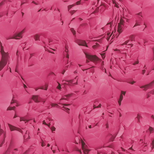 Rosenfield Pink Floral Wallpaper