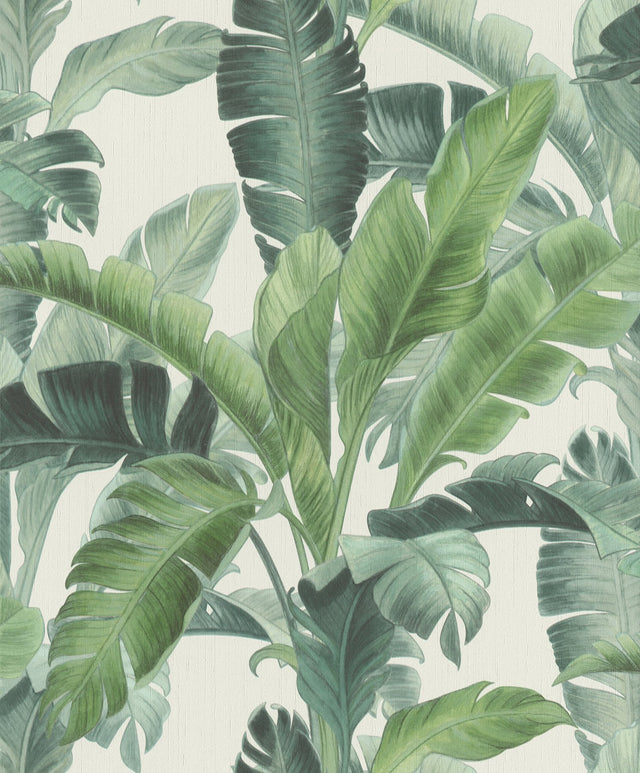 Orissa Green Palm Frond Wallpaper with Textured Botanical Leaf Pattern - Rasch RH536683