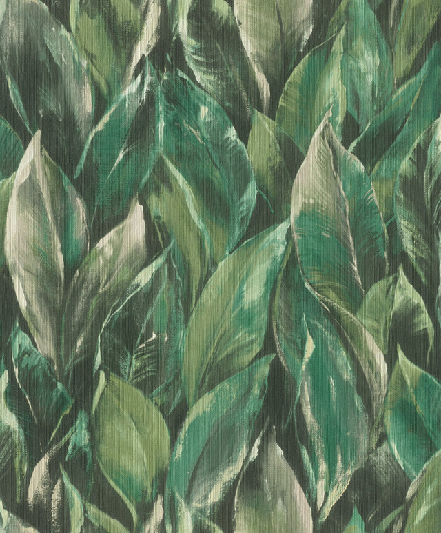 Maclayi Green Banana Leaf Wallpaper with Botanical Bohemian Pattern - Rasch RH537345