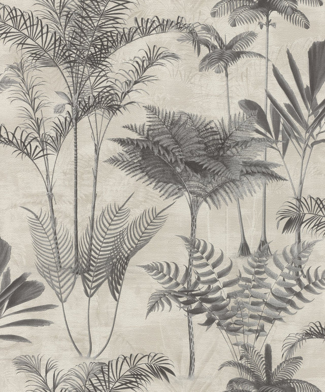 Kinabalu Charcoal Rainforest Wallpaper