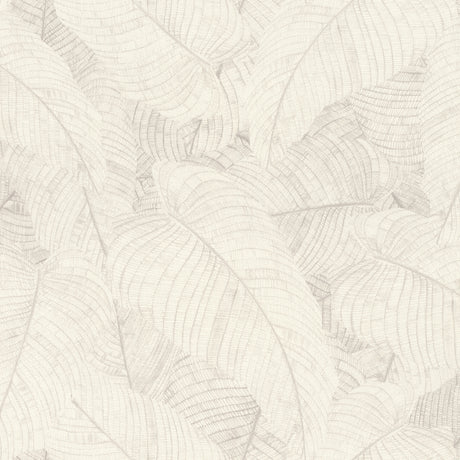 Rasch Galner Ivory Leaves wallpaper roll RH720525