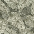 Rasch Galner Moss Leaves Wallpaper RH720549 roll and pattern in moss green