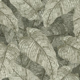 Rasch Galner Moss Leaves Wallpaper RH720549 roll and pattern in moss green