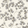 Newcomb Grey Trailing Branches Wallpaper by Rasch