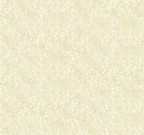 Champagne Dots Gold & White Wallpaper with Metallic Polka Dot Pattern, Small Prints - York RI5112
